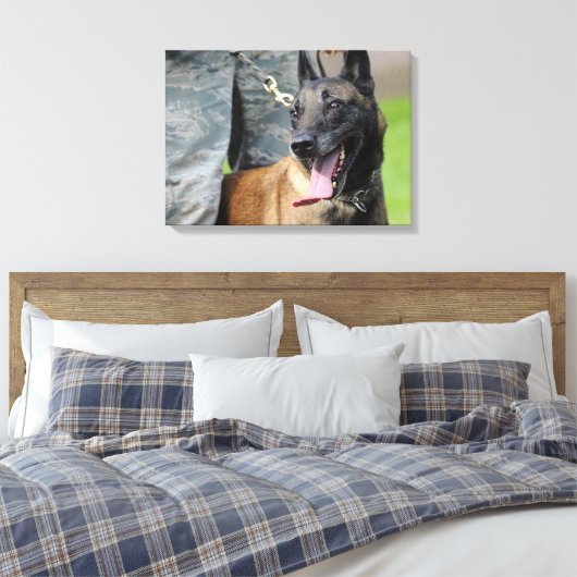 Lachende Belgische Malinois Canvas Afdruk (Insitu (Slaapkamer))