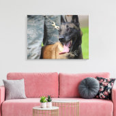 Lachende Belgische Malinois Canvas Afdruk (Insitu (Woonkamer))