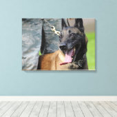 Lachende Belgische Malinois Canvas Afdruk (Insitu (Houten vloer))