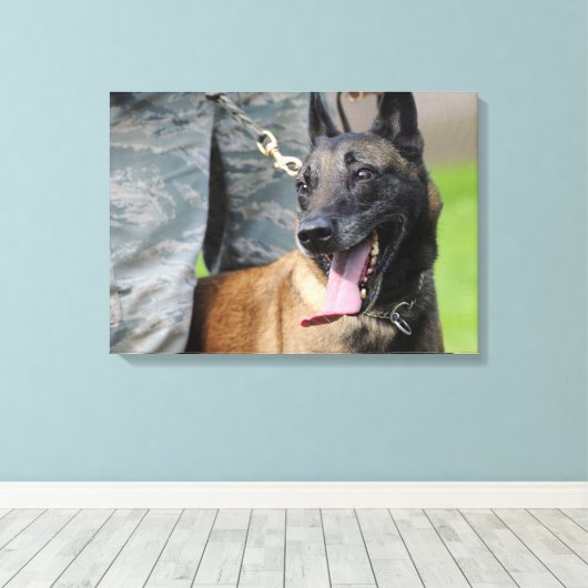 Lachende Belgische Malinois Canvas Afdruk (Insitu (Houten vloer))