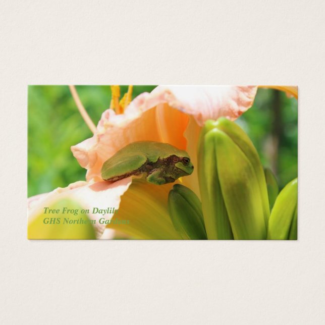 Lachende boom kikker roze lelie visitekaartjes (Voorkant)