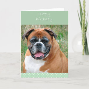 Lachende Boxer Dog Happy Birthday Wenskaart Kaart