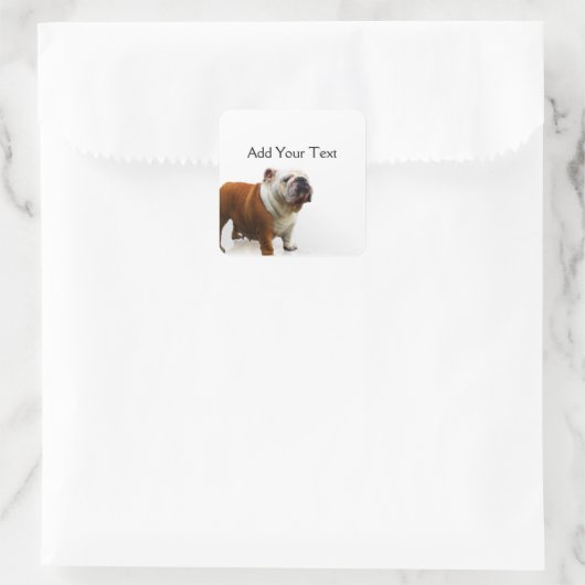 Lachende buldog vierkante sticker (Tas)