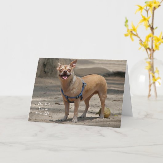 Lachende Chihuahua Verjaardag Kaart (Gele Bloem)