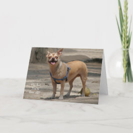 Lachende Chihuahua Verjaardag Kaart