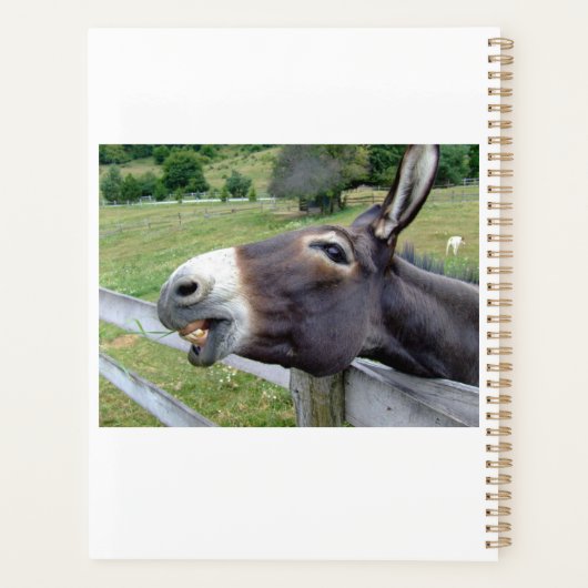 Lachende Ezel in een weiland aanpasbaar Planner (Achterkant)