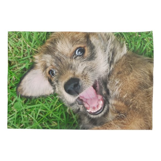 Lachende hond Berger Picard Puppy Grappige kussens Kussensloop (Achterkant)