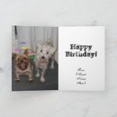 Lachende hond Verjaardag Kaart (Binnen)