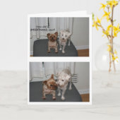 Lachende hond Verjaardag Kaart (Gele Bloem)