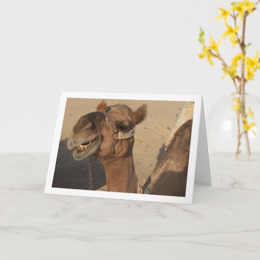Lachende Kameel Kaart (Gele Bloem)