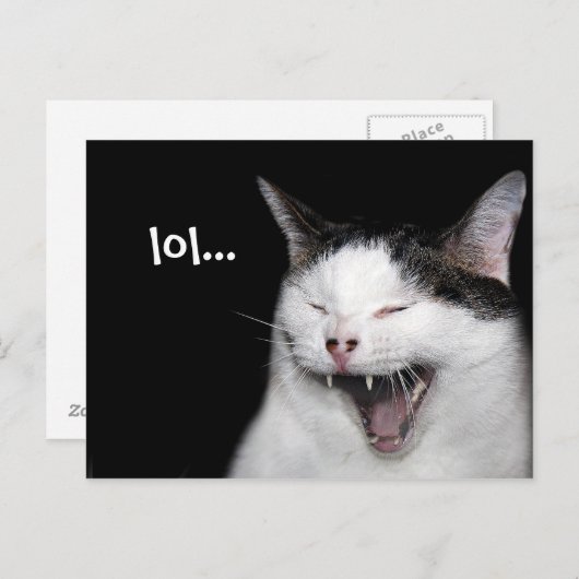 Lachende kat briefkaart (Voorkant / Achterkant)