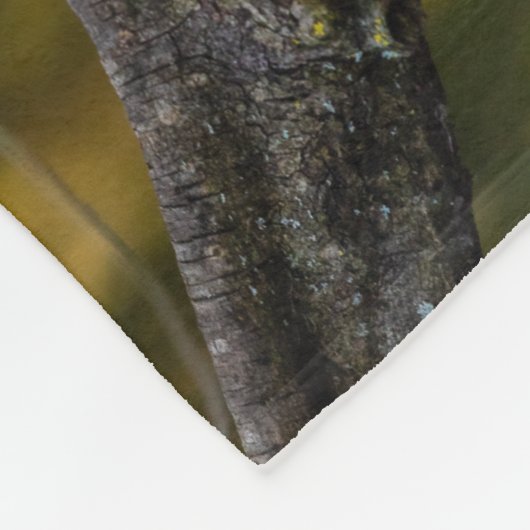 Lachende kookaburra fleece deken (Hoek)