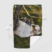 Lachende kookaburra golfhanddoek (Insitu)