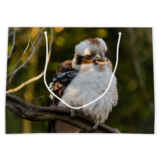 Lachende kookaburra groot cadeauzakje (Voorkant)