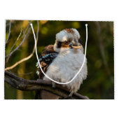 Lachende kookaburra groot cadeauzakje (Achterkant)