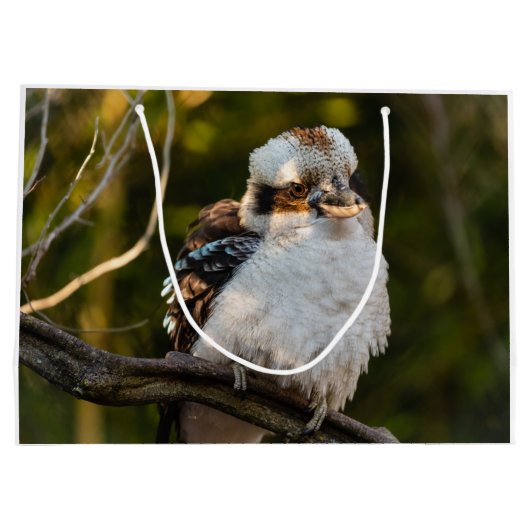 Lachende kookaburra groot cadeauzakje (Achterkant)