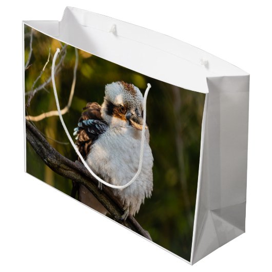 Lachende kookaburra groot cadeauzakje (Achterkant Gekanteld)