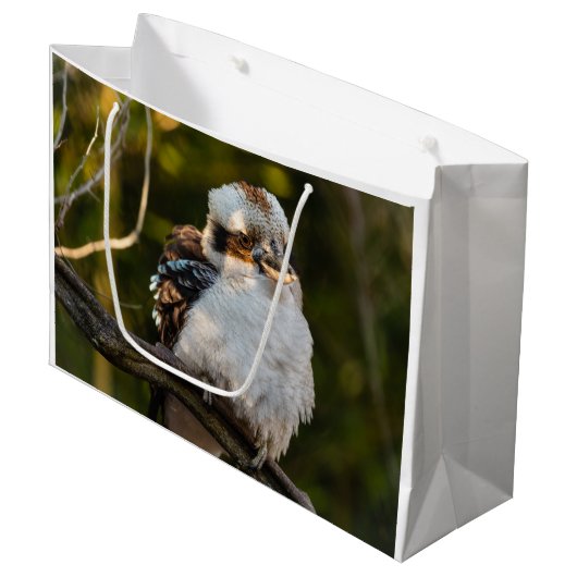 Lachende kookaburra groot cadeauzakje (Voorkant Gekanteld)