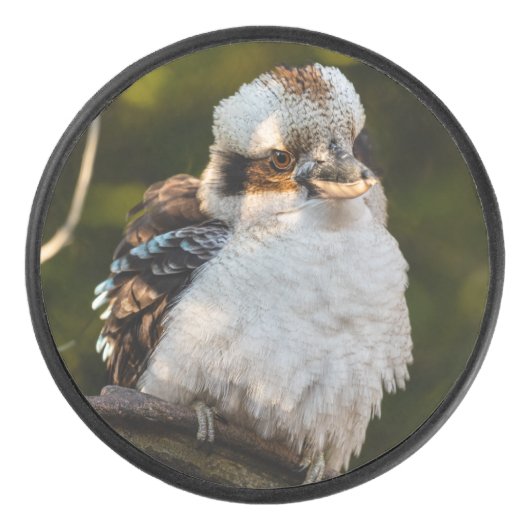 Lachende kookaburra hockey puck (Voorkant)