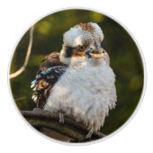 Lachende kookaburra keramische knop (Voorkant)