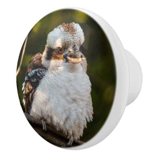 Lachende kookaburra keramische knop (Rechts)