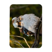 Lachende kookaburra magneet (Verticaal)