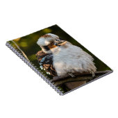 Lachende kookaburra notitieboek (Rechterzijde)