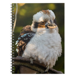 Lachende kookaburra notitieboek