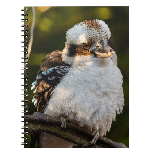 Lachende kookaburra notitieboek (Voorkant)