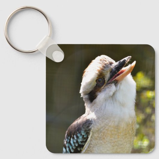 Lachende Kookaburra op tak Postkaart vierkant Sleutelhanger (Voorkant)