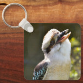 Lachende Kookaburra op tak Postkaart vierkant Sleutelhanger (Voorkant)