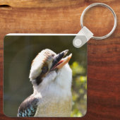 Lachende Kookaburra op tak Postkaart vierkant Sleutelhanger (Achterkant)