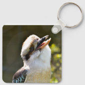 Lachende Kookaburra op tak Postkaart vierkant Sleutelhanger (Achterkant)