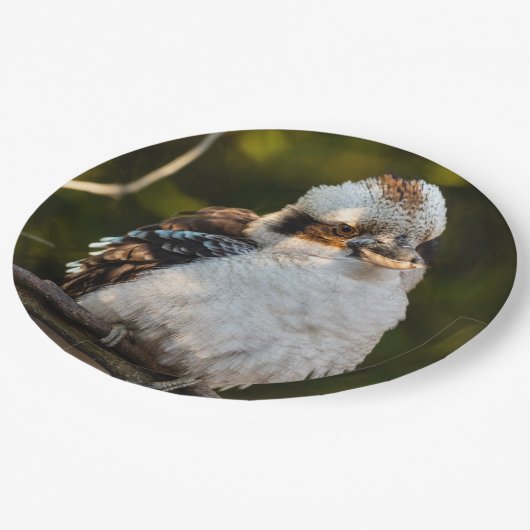 Lachende kookaburra papieren bordje (Gekanteld)