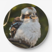 Lachende kookaburra papieren bordje (Voorkant)