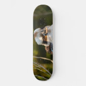 Lachende kookaburra persoonlijk skateboard (Voorkant)