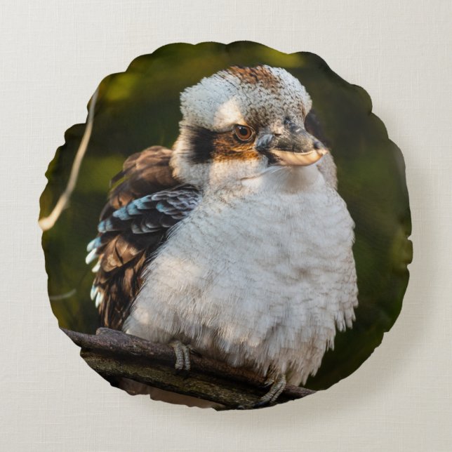 Lachende kookaburra rond kussen (Voorkant)