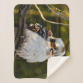 Lachende kookaburra sherpa deken (Voorkant)