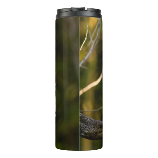 Lachende kookaburra thermosbeker (Achterkant)