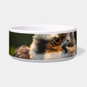 Lachende kookaburra voerbakje