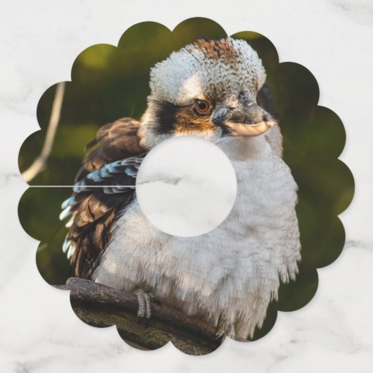 Lachende kookaburra wijnglaslabel (Achterkant)