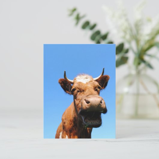 Lachende Kuh Briefkaart (Staand voorkant)