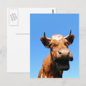 Lachende Kuh Briefkaart (Voorkant / Achterkant)