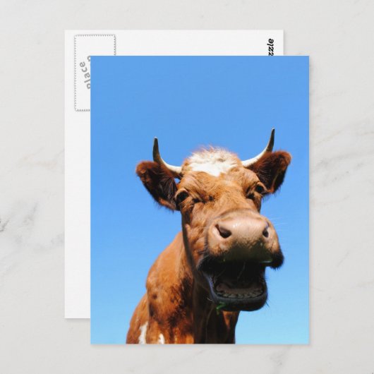 Lachende Kuh Briefkaart (Voorkant / Achterkant)