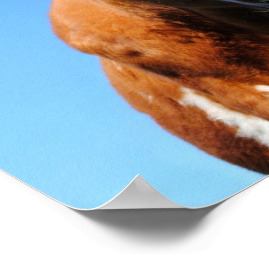 Lachende Kuh Poster (Hoek)