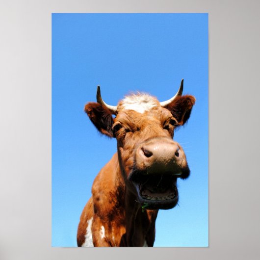 Lachende Kuh Poster (Voorkant)
