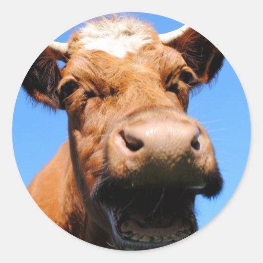 Lachende Kuh Ronde Sticker (Voorkant)