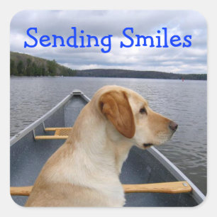 Lachende Labrador Retriever Hond Sticker Label