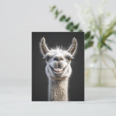 Lachende lama close-up briefkaart (Staand voorkant)