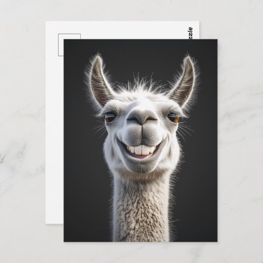 Lachende lama close-up briefkaart (Voorkant / Achterkant)